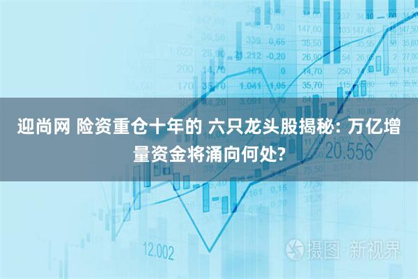 迎尚网 险资重仓十年的 六只龙头股揭秘: 万亿增量资金将涌向何处?